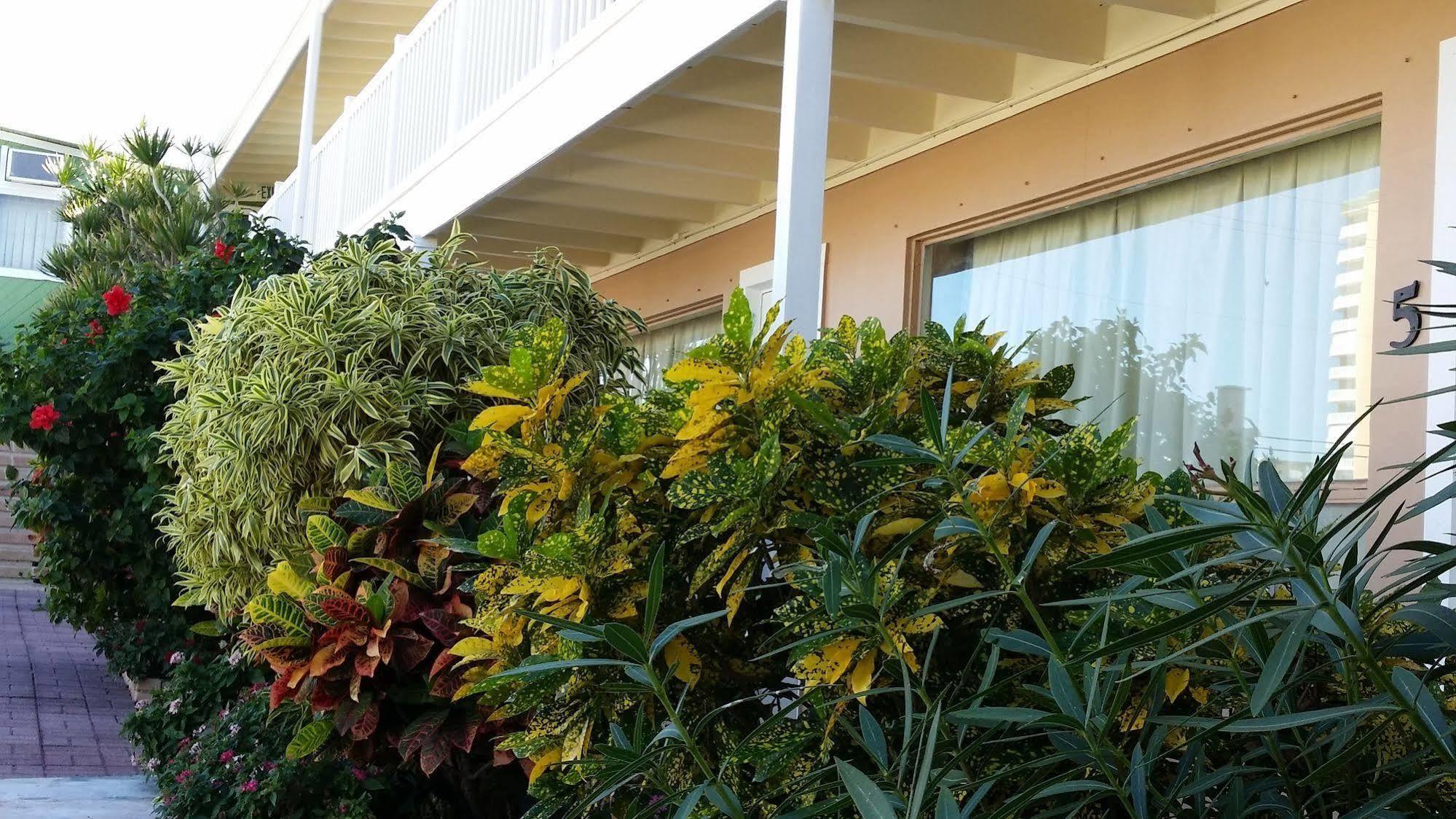 The Palms On Ocean Pompano Beach Exterior foto